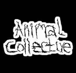 logo Animal Collective